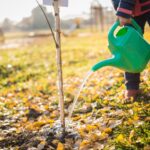 Co vám zahradníci nikdy neřeknou o zálivce na podzim