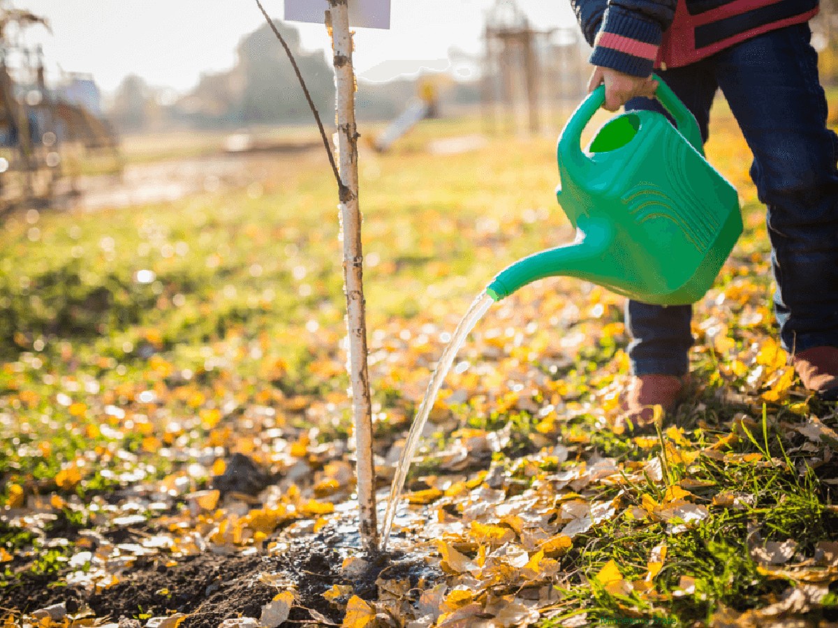 Co vám zahradníci nikdy neřeknou o zálivce na podzim