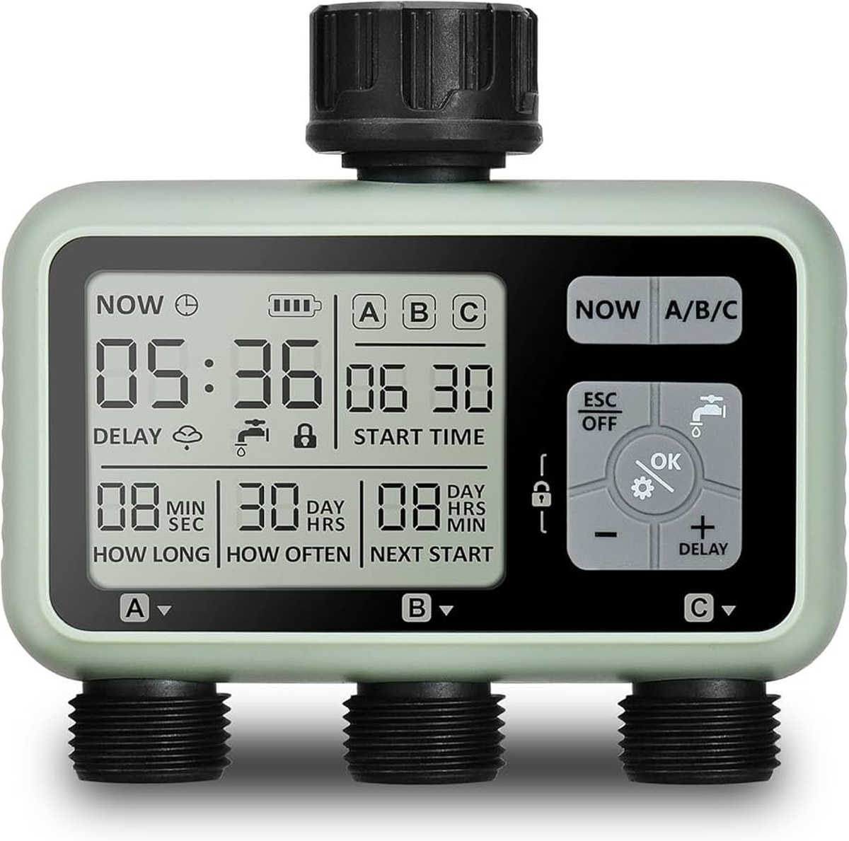 Co vám zahradníci neřeknou o letním polévání: časový trik za 5 korun - image 1