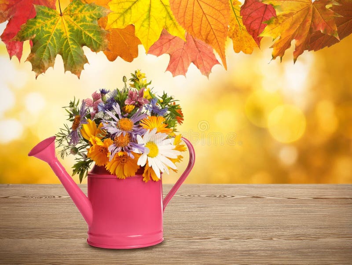 Co vám zahradníci nikdy neřeknou o zálivce na podzim - image 2