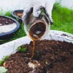 Co zahradníci neprozradí: jedla živina v hnědé vodě