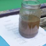 Horníci zeleniny varují: je vaše půda opravdu připravená? Zkoušejte tímto způsobem