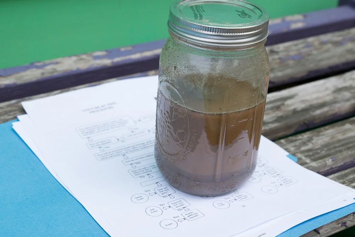 Horníci zeleniny varují: je vaše půda opravdu připravená? Zkoušejte tímto způsobem