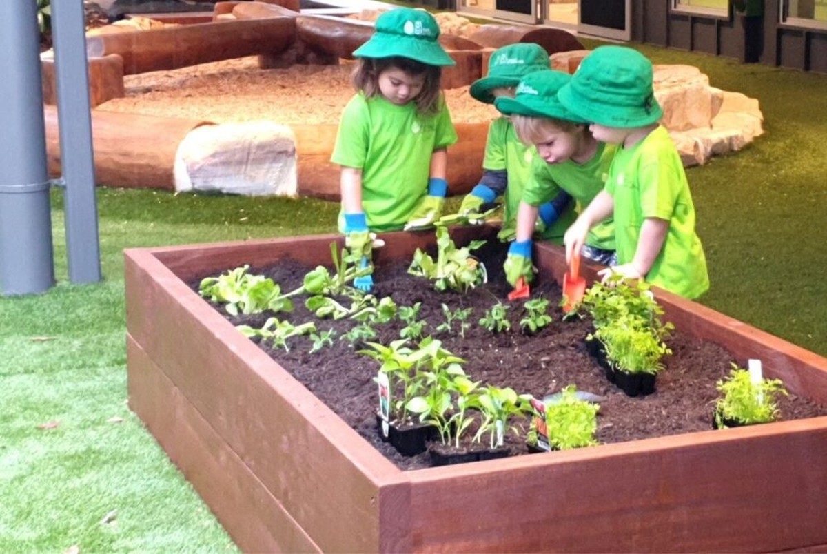 Horníci zeleniny varují: je vaše půda opravdu připravená? Zkoušejte tímto způsobem - image 1