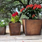 Использование starých pánví jako podnosy pro semenáčky – návod zahradníků