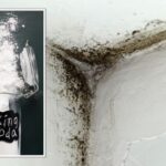 Jedlá soda v rose proti plísním – přírodní lék za 30 korun