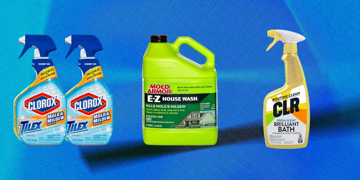 Jedlá soda v rose proti plísním – přírodní lék za 30 korun - image 2