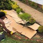 Karton namísto drahého agrotextilu: jak myslet ekologicky a ušetřit peníze