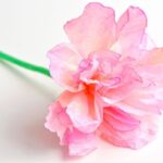 Kávový filtr do květináče: trik, který zemědělci tajně používají