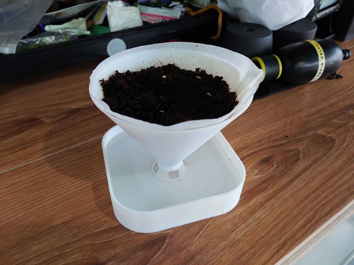 Kávový filtr místo střapců? Geniální trik na zavlažování bylinek