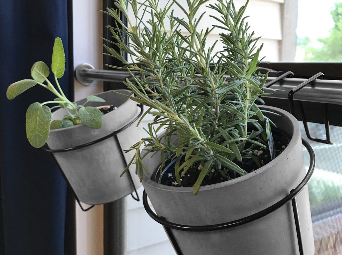 Kávový filtr místo střapců? Geniální trik na zavlažování bylinek - image 2