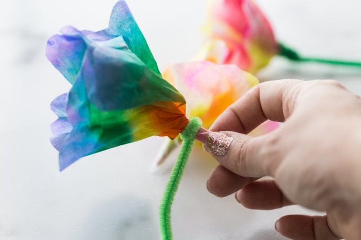 Kávový filtr pod rostliny: proč záhradáři tohle skrývají před sousedy