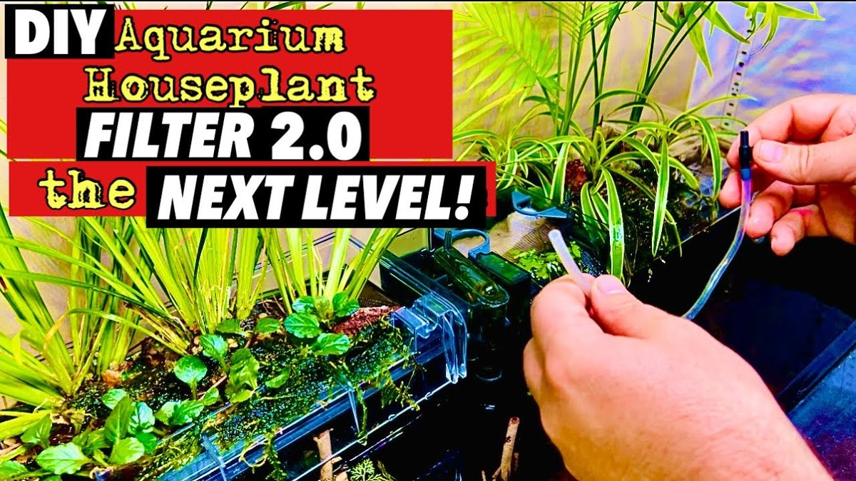 Kávový filtr v květináči? Proč jej zahradníci používají už 50 let - image 2