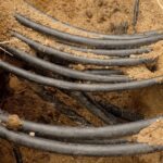 Každý stavbyvedoucí vám řekne: drát do půdy položte právě takto, jinak vám roste plevel