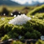 Kuchyňská sůl v mechu: proč to funguje lépe než kupované herbicidy