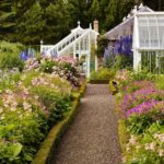 Kukuřičný škrob místo pesticidů: Starobylý trik proti brouků v zahradě