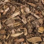 Kůra ze stromů jako mulč zdarma: trik na zadržení vody v půdě