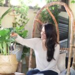 Květináři varují: nikdy nekombinujte tyto dvě rostliny vedle sebe