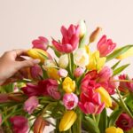 Květinář prozradil: proč vaše tulipány tak rychle vadnou