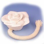 Květinář vám řekne: tento jeden knot prodlužuje živost květin o 14 dní