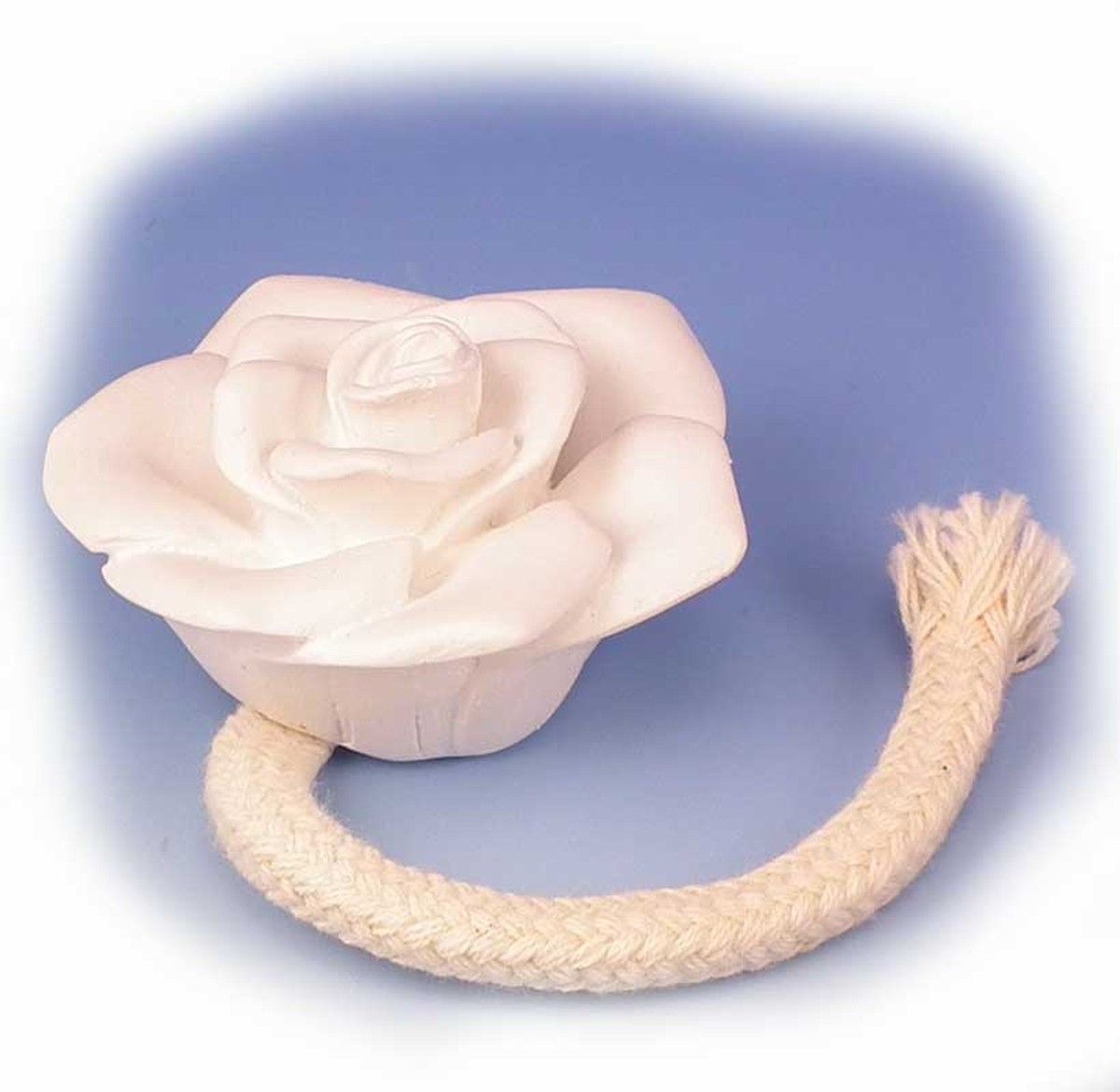 Květinář vám řekne: tento jeden knot prodlužuje živost květin o 14 dní