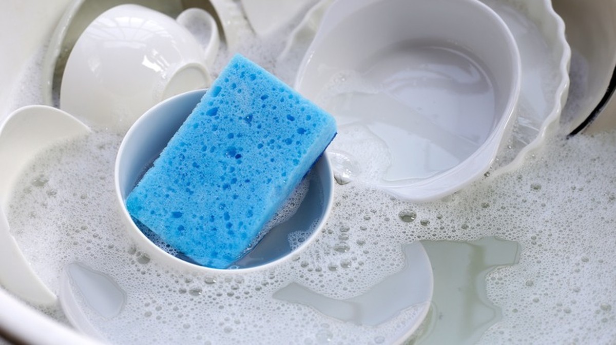 Molitan namočený v octu: jednoduchý trik proti padlí na květech