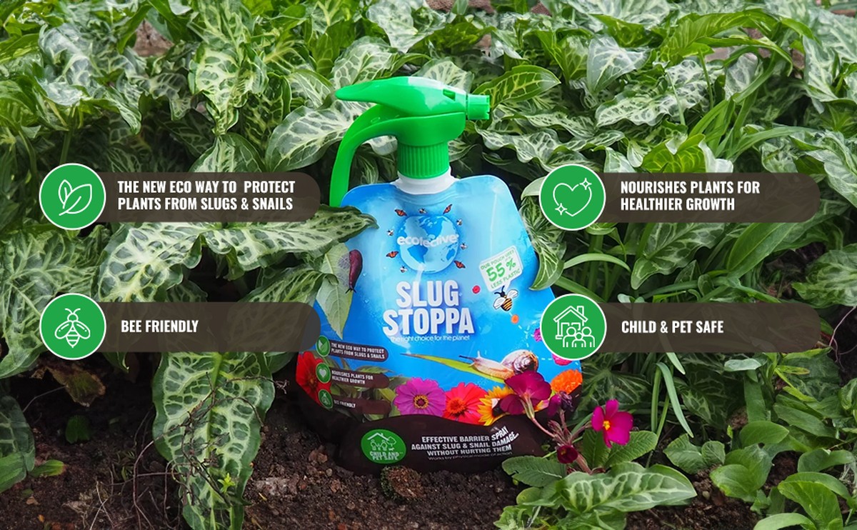 Obyčejná soda na záhonu: trik proti slimákům bez jedů - image 2