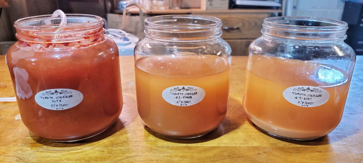 Ocet na listu rajčete: starobylý trik kterým si dělníci šetří peníze