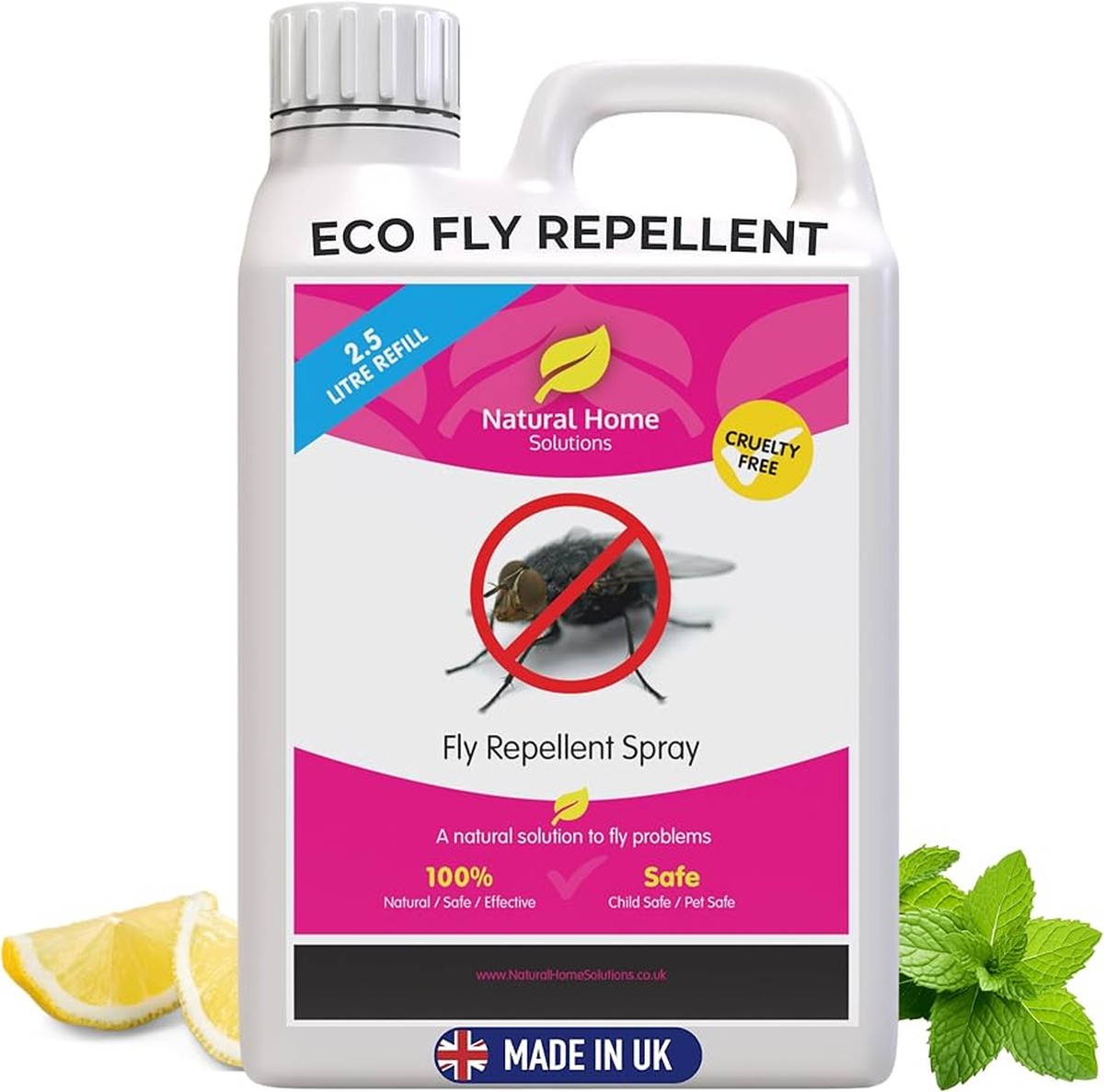 Pálená cibule v květináči: starý věc proti mouchám, kterou zahradníci skrývali - image 2