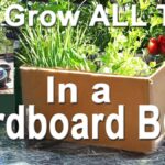 Papírová krabice na zeleninu? Proč zahrádkáři ji skrývají před sousedy