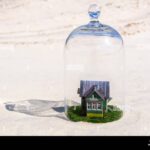 Papírová krabice místo chemie: jak chránit sazenice bez pesticidů