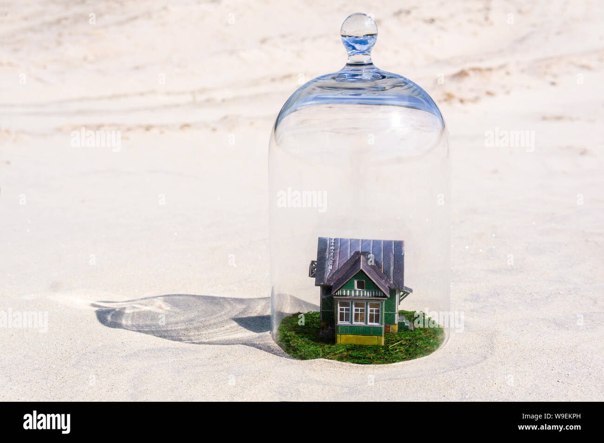 Papírová krabice místo chemie: jak chránit sazenice bez pesticidů