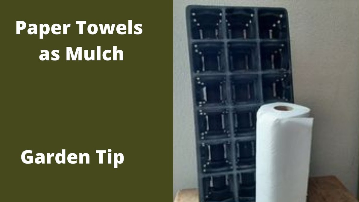 Papírová kuchyňská utěrka v záhonu zeleniny změní kvalitu vaší úrody - image 1