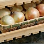 Papírová utěrka pod cibulí při skladování: proč se kazí o 40% méně