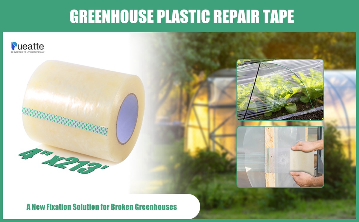 Papírové pásky na okna skleníku: proč to funguje lépe než stínidla