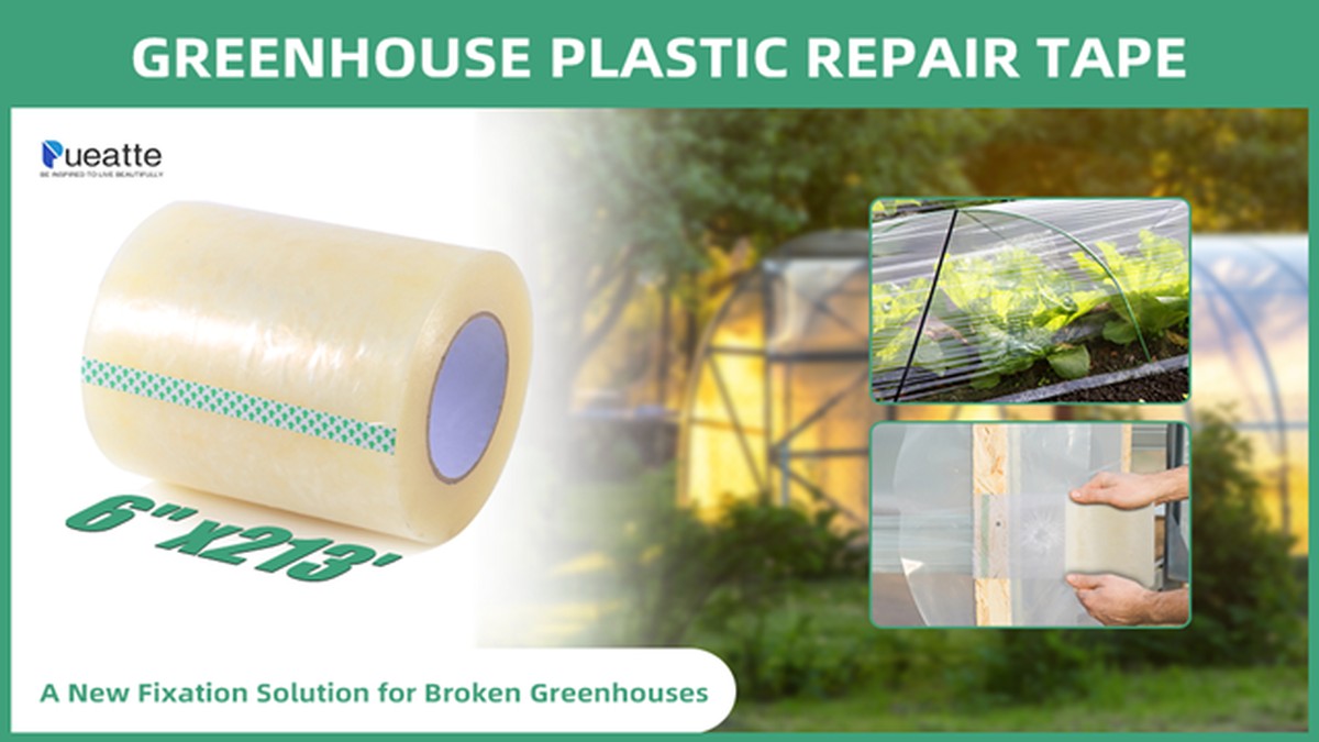 Papírové pásky na okna skleníku: proč to funguje lépe než stínidla - image 1