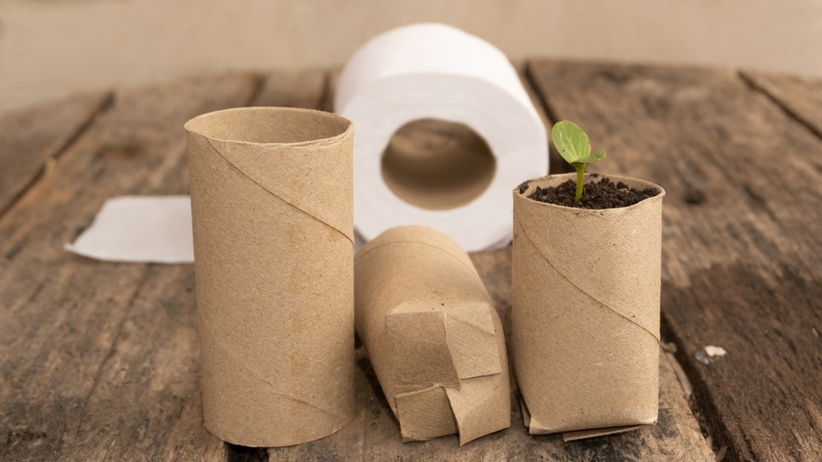 Papírové tuby od toaletního papíru jako kolíčky na květiny: geniální a bezplatné