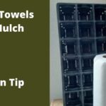 Papírové utěrky v zemině? Jak zadržují vodu a snižují zalévání