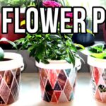 Plasty od jogurtu místo květináčů? Jak zahradníci ušetří tisíce korun ročně