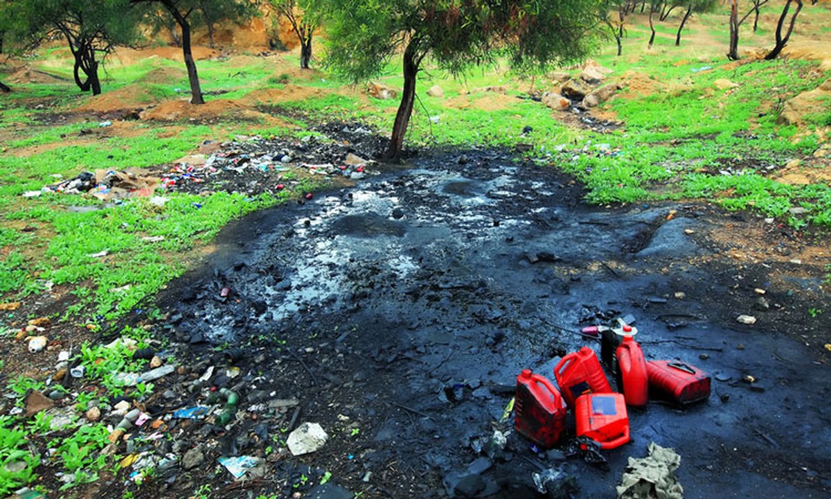 Použitý olej z pánve do květináčů? Proč zahradníci to nedělají zbytečně - image 2