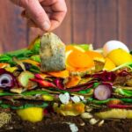 Použitý teabag jako startér semen – proč to zahradníci skrývají