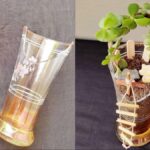 Prasklé sklenice jako nádoba pro výsadbu: jak z nich vytěžit maximum