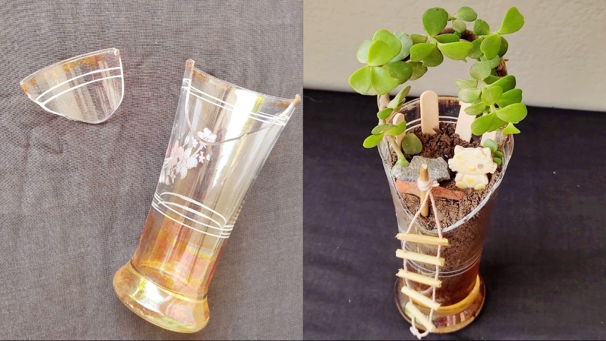 Prasklé sklenice jako nádoba pro výsadbu: jak z nich vytěžit maximum