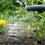 Prázdná plastová láhev se špuntem: jak se stává automatickým zavlažovacím systémem