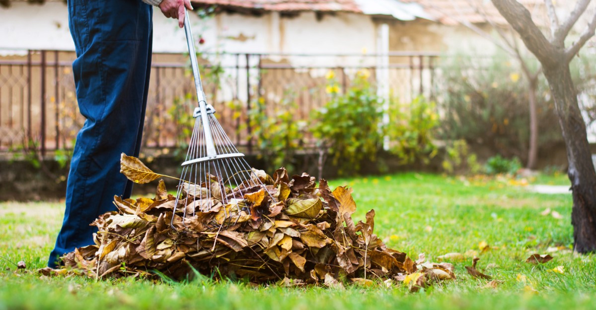 Připněte si kartáč na vrtačku a zahrada se změní za 20 minut - image 2