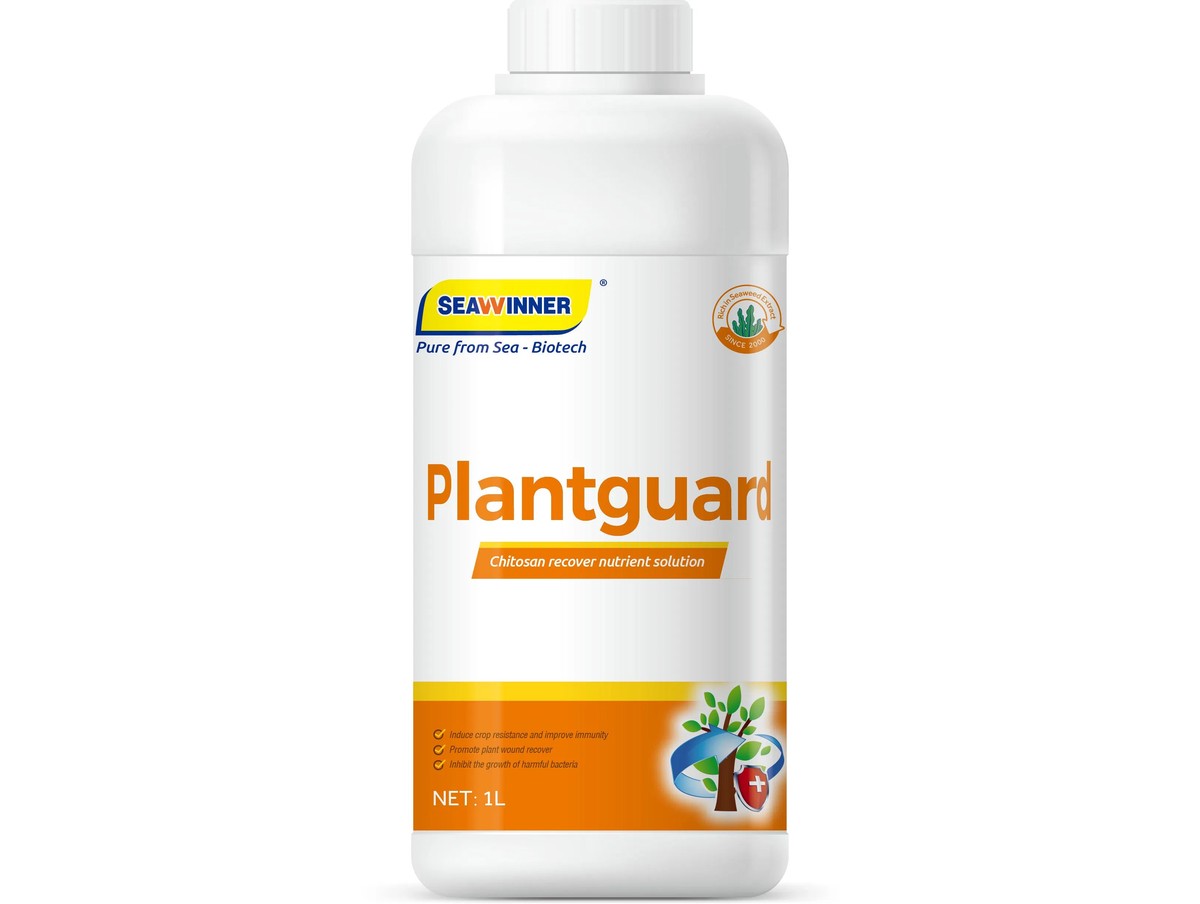 Proč agronomi vždy přidávají jód do zeminy na jaře - image 1