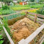 Profesionální zahradníci prozrazují: která hnojiva nechat na polici trvale