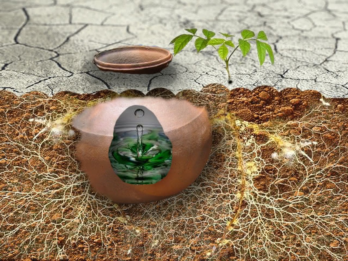 Rozbitá květináč není odpad – jak z něj udělat zálivku - image 1