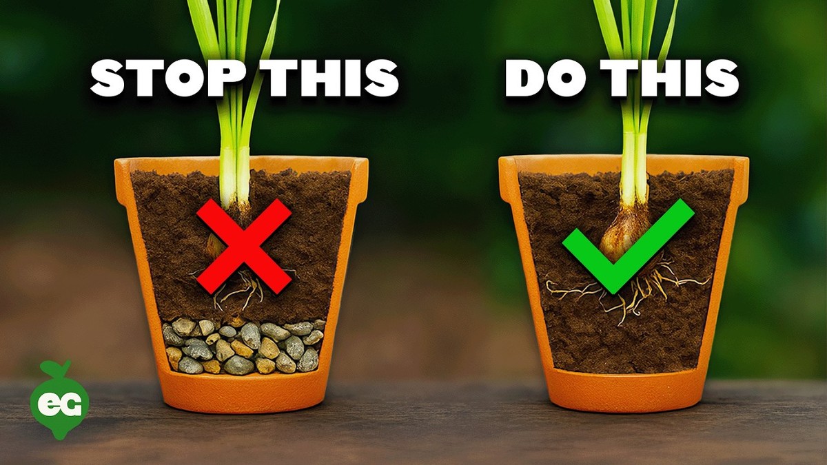 Rozbitý hřebík v květináči řeší drénáž levněji než systémy za tisícikorunu