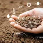 Sadbaři varují: nikdy nelez do půdy s těmito minerály najednou